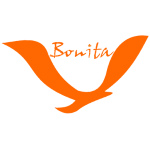 Bonita associates, top digital marketing agency